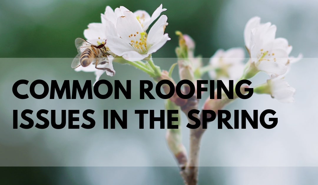Spring Roofing Problems